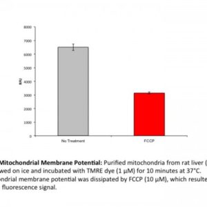 Mitochondria Isolation Kit