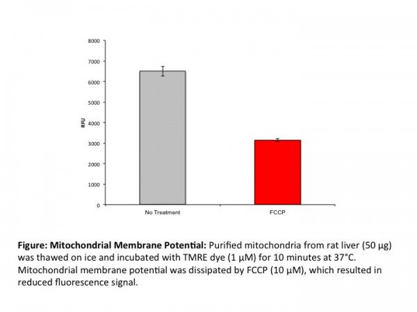 Mitochondria Isolation Kit