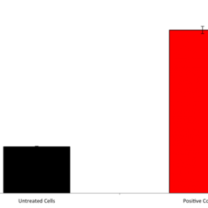 Cellular ROS Detection Assay