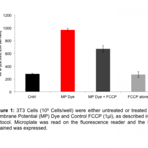 Mitochondria Membrane Potential Assay (TMRE)