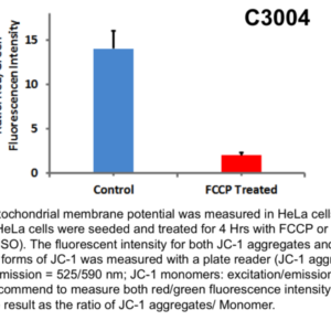 Apoptosis and Mitochondrial Membrane Potential Assay (JC1)