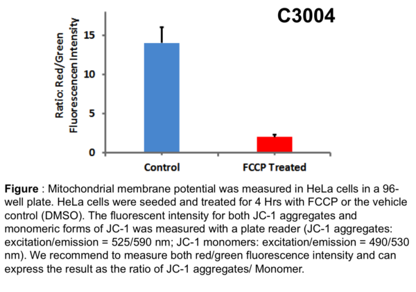 Apoptosis and Mitochondrial Membrane Potential Assay (JC1)