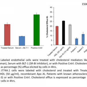Cholesterol Efflux Assay (Cell Based) (100 Assays)