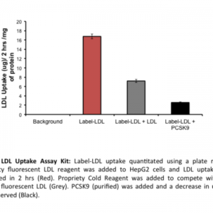 LDL Uptake Assay (100 Assays)