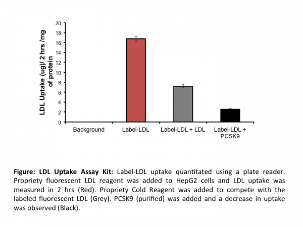 LDL Uptake Assay (100 Assays)