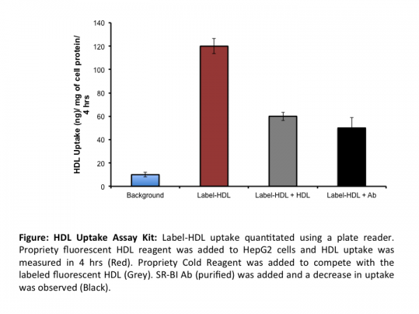 HDL Uptake Assay (100 Assays)