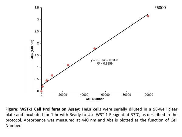 WST-1 Proliferation Assay Kit