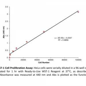 WST-1 Proliferation Assay Kit (2500 Assays)
