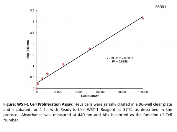 WST-1 Proliferation Assay Kit (2500 Assays)