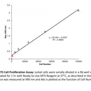 MTS Cell Proliferation Assay Kit (2500 Assays)