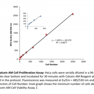 Calcein AM Cell Viability Assay Kit (1000 Assays)