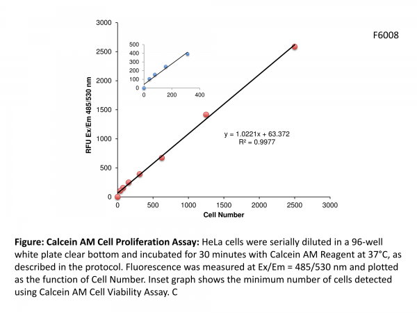 Calcein AM Cell Viability Assay Kit (1000 Assays)