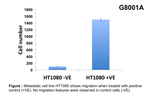 Cell Migration Assay 24 well, 8 μm (Absorbance-12 Assays)