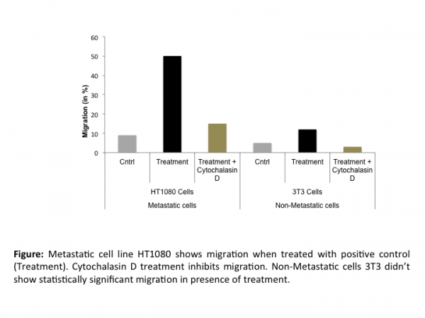 Cell Migration Assay 24 well, 8 μm (Fluorometric-12 Assays)