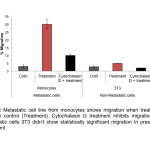 Cell Migration Assay 96 well, 5 μm (Fluorometric-100 Assays)