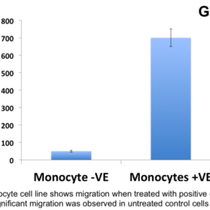 Cell Migration Assay 24 well, 5 μm (Absorbance-12 Assays)