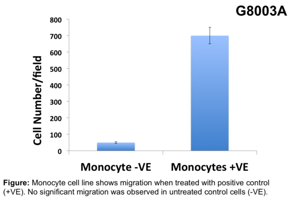 Cell Migration Assay 24 well, 5 μm (Absorbance-12 Assays)