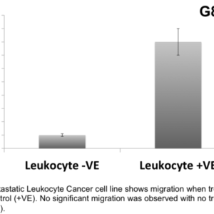 Cell Migration Assay 24 well, 3 μm (Absorbance-12 Assays)