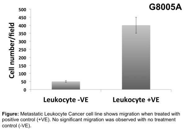 Cell Migration Assay 24 well, 3 μm (Absorbance-12 Assays)
