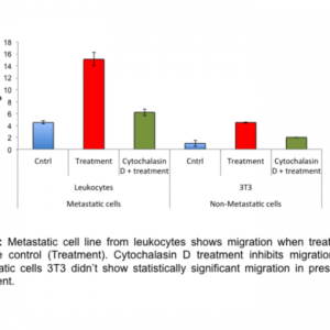 Cell Migration Assay 24 well, 3 μm (Fluorometric-12 Assays)