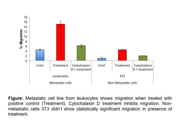 Cell Migration Assay 24 well, 3 μm (Fluorometric-12 Assays)