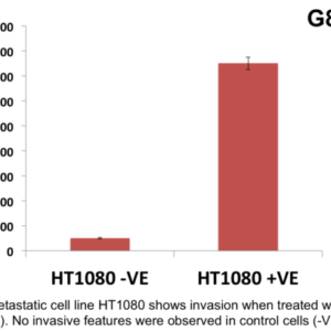 Cell Invasion Assay (Basement Membrane) 24 well, 8 μm: Absorbance-12 Assays