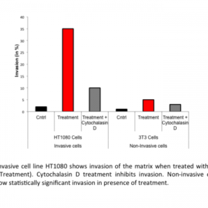 Cell Invasion Assay (Basement Membrane) 24 well, 8 μm: Fluorometric-12 Assays