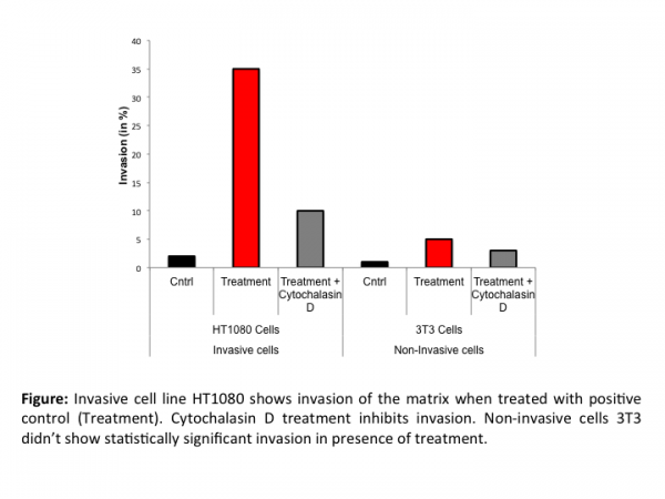 Cell Invasion Assay (Basement Membrane) 24 well, 8 μm: Fluorometric-12 Assays
