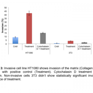 Cell Invasion Assay (Collagen I) 96 well, 8 μm: Fluorometric-100 Assays