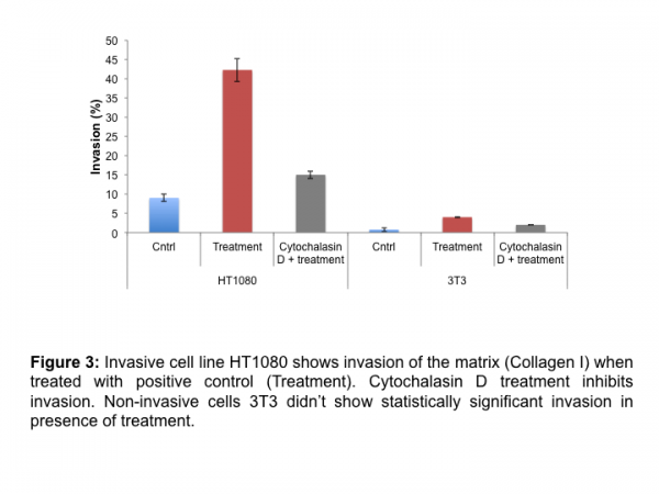 Cell Invasion Assay (Collagen I) 96 well, 8 μm: Fluorometric-100 Assays