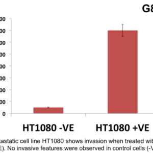 Cell Invasion Assay (Collagen I) 24 well, 8 μm: Absorbance-12 Assays