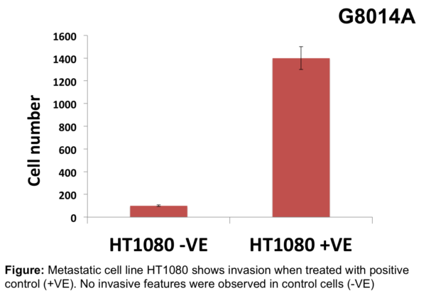 Cell Invasion Assay (Collagen I) 24 well, 8 μm: Absorbance-12 Assays