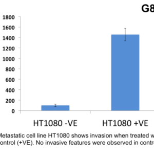 Cell Invasion Assay (Collagen IV) 24 well, 8 micron: Absorbance-12 Assays