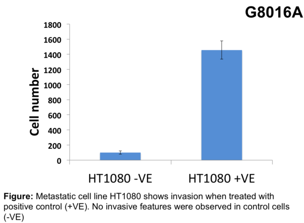 Cell Invasion Assay (Collagen IV) 24 well, 8 micron: Absorbance-12 Assays