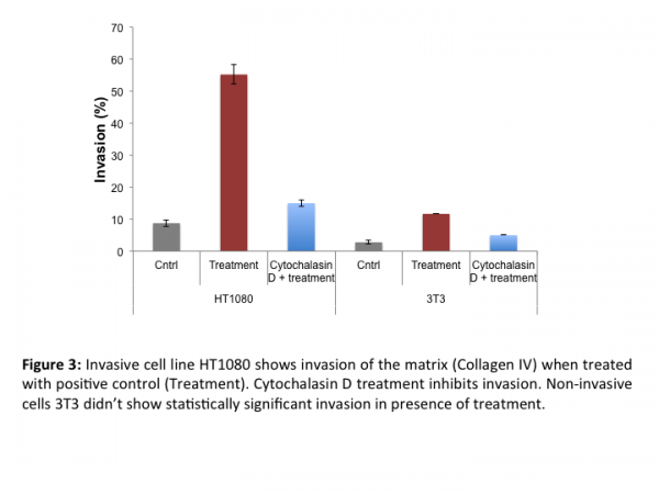 Cell Invasion Assay (Collagen IV) 24 well,8 μm :Fluorometric-12 Assays