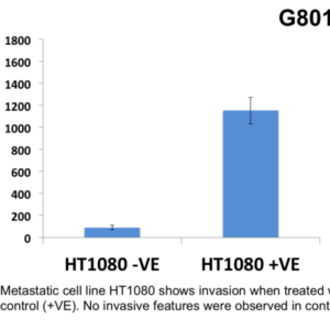 Cell Invasion Assay (Laminin) 24 well, 8 μm: Absorbance-12 Assays