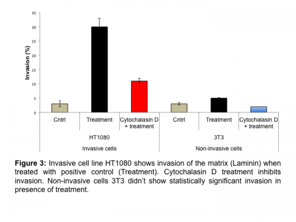 Cell Invasion Assay (Laminin) 24 well,8 μm (Fluorometric-12 Assays)