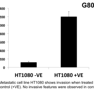 Cell Invasion Assay (Fibronectin) 24 well, 8 μm: Absorbance-12 Assays