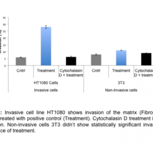 Cell Invasion Assay (Fibronectin) 24 well, 8 μm: Fluorometric-12 Assays