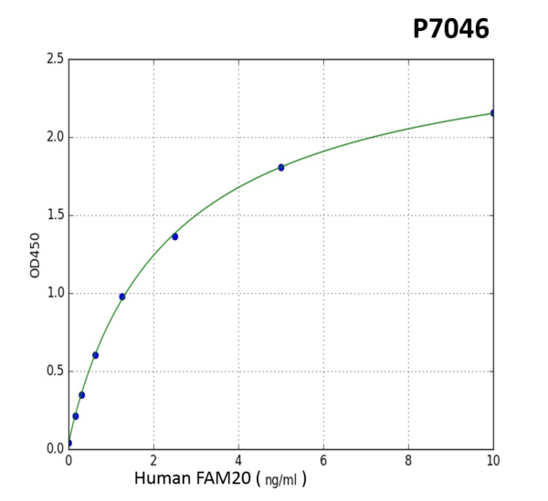 Human FAM20 PreciQuant ELISA Kit