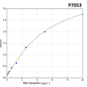 Rat CAV1(Caveolin-1) PreciQuant ELISA Kit