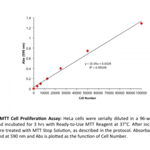 MTT Cell Proliferation Assay (1000 Assays)
