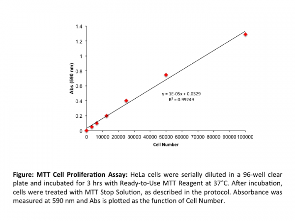 MTT Cell Proliferation Assay (1000 Assays)
